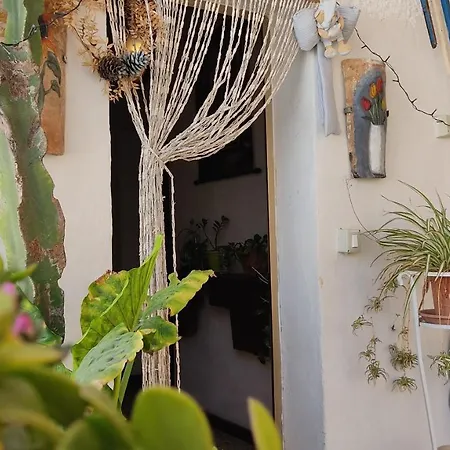 Amelie House בית אירוח