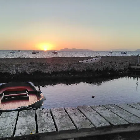 בית אירוח Amelie House