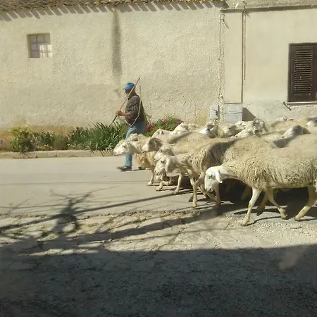 Amelie House בית אירוח